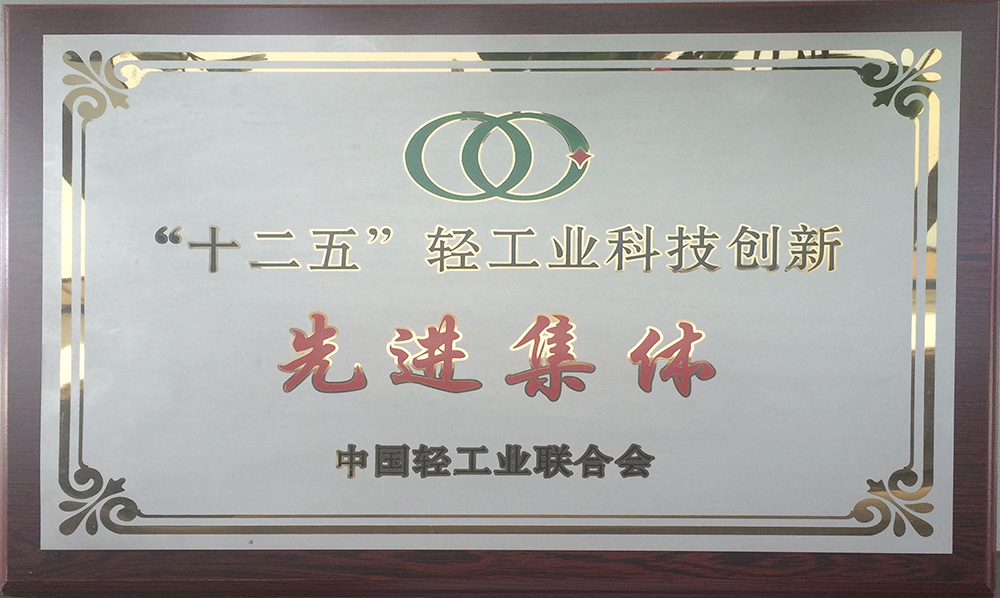 2016年十二五輕工業科技創新先進集體